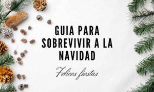 Guía-para sobrevivir a la Navidad