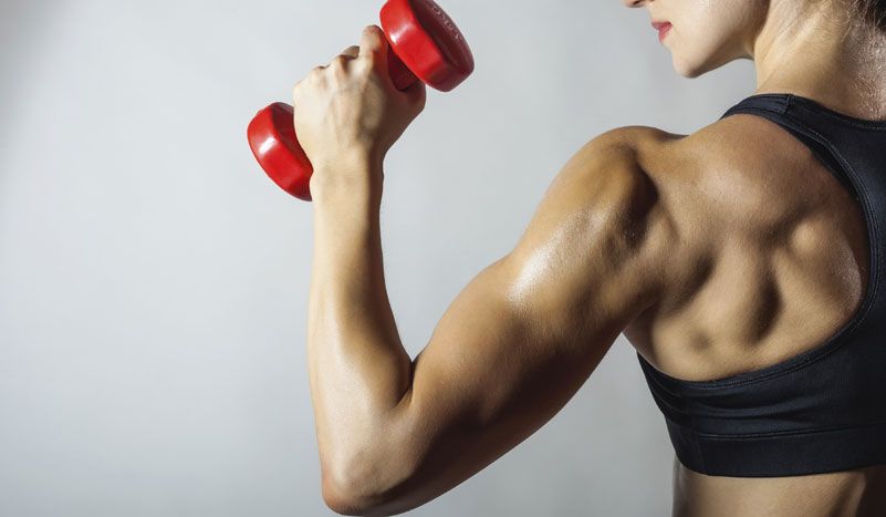 musculo 1